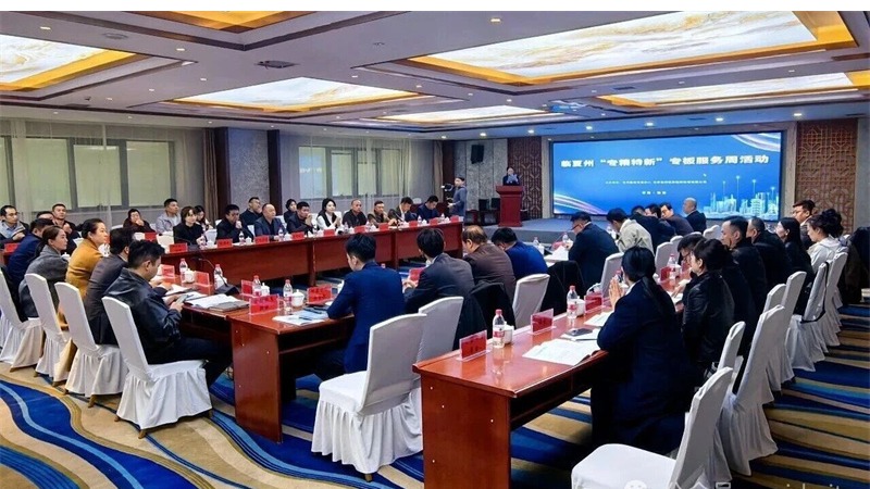 企業(yè)動(dòng)態(tài) | 精準(zhǔn)服務(wù)賦能企業(yè) 資本對(duì)接助力發(fā)展 ——甘肅股權(quán)交易中心舉辦臨夏州“專(zhuān)精特新”專(zhuān)板服務(wù)周活動(dòng)